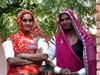 Rajasthan Unterwegs von Jodhpur nach Ranakpur; Im ...